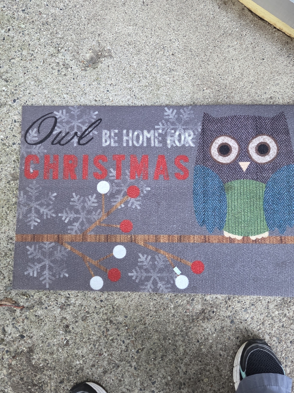 Holiday Owl 'Be Home for Christmas' Decorative Doormat - Gray/Red